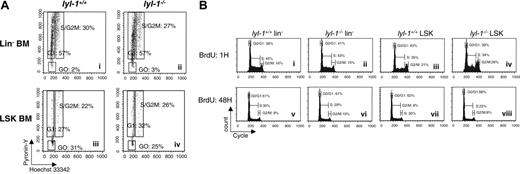 Figure 7. Cell cycle analysis of Lin– and LSK cell population from BM and E14 FL of Lyl-1–/– mice. (A) Cell cycle of BM cells was analyzed with DNA dye Hoechst (Ho) and RNA dye pyronin (PY). Lin– cells were sorted and stained with Ho and PY and then were stained with anti–Sca-1–FITC and anti–c-Kit–APC. Shown are representative flow cytometric profiles of 5 independent experiments. (B) Cell cycle of E14 FL cells was analyzed using BrdU dye. Lin– and LSK cells were sorted and stained with BrdU for 1 hour (i-iv) and 48 hours (v-viii). Three independent experiments were performed with 3 mice per genotype.