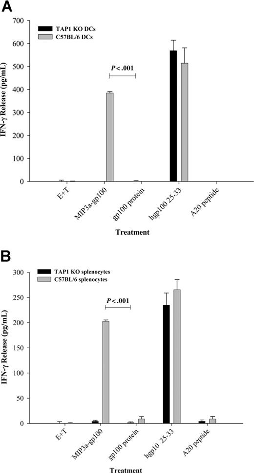 Figure 4. Cross-presentation of chemokine fusion vaccines requires TAP-1 machinery. Immature DCs (A) or splenocytes (B) derived from TAP-1 KO or wild-type C57BL/6 mice were incubated with either MIP3α-gp100 or the gp100 protein alone and tested for their ability to stimulate gp100-specific T cells derived from pmel-1 mice. Control APCs were treated with the active gp100 peptide, hgp10025-33, or irrelevant A20 peptides. IFN-γ release was measured in the supernatants of cells cultured for 24 hours by enzyme-linked immunosorbent assay (ELISA). The data shown are representative of 1 experiment of 3 independent experiments that yielded similar results. Data are average of triplicate wells; error bars represent SD of the mean.