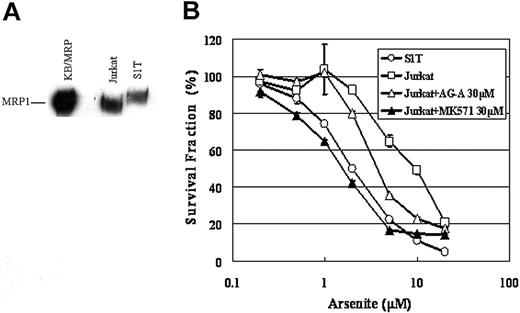 Figure 8. Expression of MRP1 and the resistance to sodium arsenite in Jurkat cells. (A) Crude membranes (100 μg protein) were prepared and separated by 7.5% SDS-PAGE and transferred to a PVDF membrane. The transferred proteins were reacted with an antibody against MRP1 as described in “Patients, materials, and methods.” KB/MRP membrane vesicles (10 μg) were used as a positive control. (B) Jurkat and S1T cells were incubated with the indicated concentrations of drugs for 72 hours, and cell viability was determined by the MTT assay. The points represent the means of triplicate determinations, and the bars show SD.