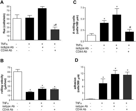 Figure 1. CD44 mediates TNFα-induced leukocyte rolling flux. BALB/c mice were left untreated or were treated with TNFα for 4 hours prior to intravital microscopy and antibody administration. (A) Endogenous leukocyte rolling flux in control and TNFα-treated mice was determined using intravital microscopy. After basal levels of rolling flux were recorded in TNFα-treated mice, isotype controls (isotype Ab) or a blocking antibody against CD44 were administered. (B) Endogenous leukocyte rolling velocity. (C) The number of rolling endogenous leukocytes per 100 μm and (D) endogenous leukocyte adhesion was quantified. Data are expressed as the arithmetic means ± SEM of at least 3 animals per group. *P < .05 relative to untreated controls; #P < .05 relative to TNFα-treated animals.