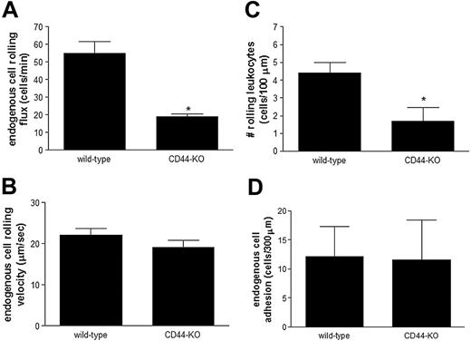 Figure 2. Endogenous leukocyte rolling is significantly reduced in TNFα-treated CD44-deficient mice. CD44-deficient (CD44-KO) and their wild-type controls (wild-type) mice were treated with TNFα for 4 hours. (A) Endogenous leukocyte rolling flux, (B) rolling velocity, (C) the number of cells rolling per 100 μm, and (D) leukocyte adhesion in postcapillary venules of the small intestine were determined using intravital microscopy. Data are expressed as the arithmetic means ± SEM of at least 5 animals per group. *P < .05 relative to TNFα-treated wild-type animals.