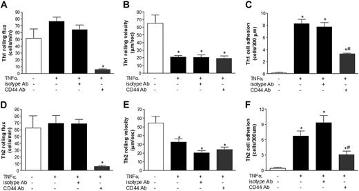 Figure 3. CD44 mediates Th1 and Th2 lymphocyte rolling and adhesion in TNFα-treated mice. BALB/c mice were left untreated or treated with TNFα for 4 hours prior to the injection of rhodamine 6G–labeled Th1 or Th2 lymphocytes. After basal levels of rolling flux were recorded in TNFα-treated mice, isotype controls (isotype Ab) or a blocking antibody against CD44 were administered. (A) Th1 rolling flux and (B) Th1 rolling velocity in postcapillary venules of the small intestine were determined by intravital microscopy. (C) To determine Th1 cell adhesion, isotype and a CD44-blocking Ab were administered to the mice intravenously prior to Th1 injection. In similar experiments, Th2 rolling flux (D), Th2 rolling velocity (E), and Th2 adhesion (F) were also determined. Data are expressed as the arithmetic means ± SEM of at least 3 animals per group. *P < .05 relative to control group; #P < .05 relative to TNFα treatment group.