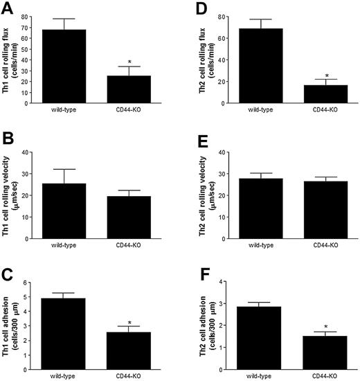 Figure 4. TNFα-treated CD44-deficient mice exhibit reduced Th1 and Th2 rolling flux and adhesion compared with controls. Wild-type and CD44-deficient (CD44-KO) mice were treated with TNFα for 4 hours prior to intravenous injection of rhodamine 6G–labeled Th1 or Th2 lymphocytes. Intravital microscopy determined (A) Th1 rolling flux, (B) Th1 cell rolling velocity, and (C) Th1 cell adhesion. In similar experiments, Th2 rolling flux (D), Th2 rolling velocity (E), and Th2 adhesion (F) were also determined. Data are expressed as the arithmetic means ± SEM of at least 3 animals per group. *P < .05 relative to wild-type values.