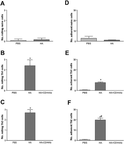 Figure 6. Th1 and Th2 lymphocytes roll on HA-coated coverslips via CD44. Rolling on HA-coated coverslips by naive (A), Th1 (B), and Th2 (C) lymphocytes. Adhesion on HA-coated coverslips by naive (D), Th1 (E), and Th2 (F) lymphocytes. Preincubation of cells with a blocking Ab to CD44 prevents both rolling and adhesion. Data are expressed as the arithmetic means ± SEM of at least 3 separate experiments. *P < .05 relative to PBS-coated plates; #P < .05 relative to Th1 adhesion to HA.