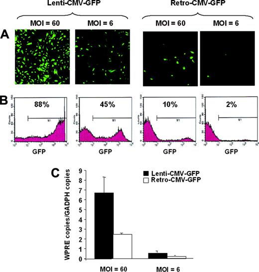 Figure 5. Analysis of human BOECs transduced with lentiviral and γ-retroviral vectors. Human BOECs were transduced with Lenti-CMV-GFP or Retro-CMV-GFP at an MOI of 6 and 60 and analyzed by fluorescent microscopy (A) and flow cytometry (B). Percentage of GFP+ cells within the M1 marker interval was indicated. Background fluorescence in negative controls corresponded to less than 0.5% positive cells. (C) A quantitative assessment of vector genome copies was determined by quantitative real-time PCR with primers specific for the WPRE element which is common between the 2 different vector types. Primers specific for the endogenous gene GAPDH were used as control for normalization. Data are mean ± SEM; n = 3.