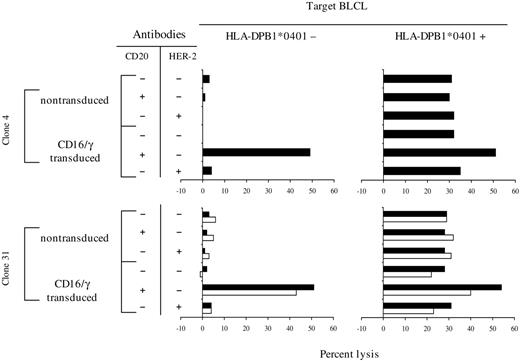 Figure 3. TCR and CD16-mediated target-cell recognition by CD4+ HLA-DPB1*0401–specific cytolytic T-cell clones. Non-transduced and transduced T-cell clones were tested against 51Cr-labeled HLADPB1*0401-negative or -positive BLCLs. ADCC activities were assessed in presence of either rituximab (anti-CD20, 2 μg/mL) or herceptin (anti–HER-2, 10 μg/mL) as negative controls. Results are expressed as percentage of specific lysis (effector-to-target ratio = 30:1, mean of triplicate). For clone 31, ▪ and □ represent 2 independent experiments.