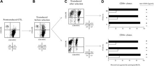 Figure 7. CD8+ and CD4+ polyclonal EBV-specific CTL express CD16/γ after transduction and mediate ADCC. EBV-specific CTLs were selected against the autologous BLCL and transduced with retroviral pMX-CD16/FcϵRIγ according to the protocol described in “Materials and methods.” Note in panel A that a few CD16+CD3– cells (NK cells) were present among the CTL. After transduction 14% of the CTL expressed CD16, at a level comparable to that observed in NK cells still present in the culture (B). After immunoselection and restimulation, CTLs were stained with CD16-PE and CD4-FITC or CD8-FITC to analyze the proportion of transduced CD4 and CD8, respectively (C). Finally, a panel of CD4+ and CD8+ T-cell clones was derived from the CTL to precisely assess the effect of CD16/γ transduction on the cytolytic potential of CD4 and CD8 CTLs against autologous BLCL. In panel D, examples show the dramatic increase in cytolytic scores observed for both the CD4+ and CD8+ clones when tested against the autologous BLCL in the presence of anti-CD20 (effector-to-target ratio = 30:1). Note the example of clone CD8 no.1, which was probably not EBV specific but became an effector in the presence of mAb.