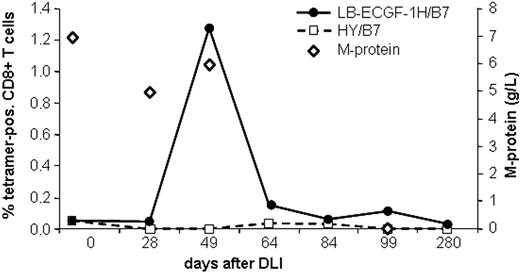 Figure 6. Analysis of the LB-ECGF-1H–specific immune response in vivo. PBMCs from the patient obtained at various time points before and after DLI were stained with anti-CD8 antibody and LB-ECGF-1H/B7 tetramers (•) or, as a control, HY/B7 tetramers (□). M-protein (⋄) is expressed in grams per liter in peripheral blood.