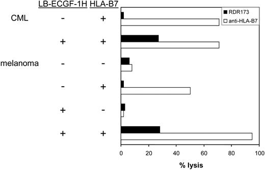 Figure 7. CTL clone RDR173 lyses LB-ECGF-1H–positive tumor cells. HLA-B7–expressing CML cells were labeled with CFSE and incubated with CTL clone RDR173. Melanoma cells were transduced with HLA-B7 and tested for recognition by CTL clone RDR173 (▪) in a CFSE-based cytotoxicity assay. Control cells were transduced with retroviral construct containing only the marker gene. Target cells were labeled with CFSE and incubated for 48 hours with CTL clone RDR173 (E/T ratio, 1:1). Target cells were also incubated with an HLA-B7–specific alloreactive T-cell clone (□) to demonstrate functional HLA-B7 expression.