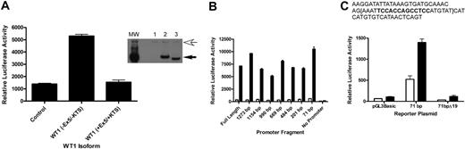 Figure 2. A1 is a direct WT1 target. (A) CV1 cells were transiently transfected with either a control plasmid or a plasmid directing the expression of WT1 (–Ex5/–KTS) or WT1 (+Ex5/+KTS) along with a reporter plasmid containing the firefly luciferase gene controlled by the murine A1 promoter. Luciferase assays were normalized by cotransfection with a Renilla luciferase gene. Error bars represent the standard error of triplicate assays. Inset shows a Western blot of lysate from transiently transfected cells. Lane 1 shows control plasmid; Lane 2, WT1 (+Ex5/+KTS); and Lane 3, WT1 (–Ex5/–KTS). The top arrow indicates a nonspecific band that confirms equal protein loads in each lane, and the bottom arrow indicates the position of WT1. MW is the molecular-weight markers. (B) Serial deletion mutants of the A1 promoter were generated as described, and these were cotransfected into CV1 cells along with either the control plasmid or the WT1 (–Ex5/–KTS) expression vector. Luciferase assays were performed as described, and were normalized by cotransfection with Renilla luciferase. Error bars represent the standard error of triplicate assays. □ indicates control; ▪, WT1 (–Ex5/–KTS). (C) The sequence of the 71-bp promoter fragment, with the putative WT1 binding site in bold type. The 19-bp deletion is contained within the brackets. The indicated plasmids (pGL3Basic, which lacks a promoter, the 71-bp promoter fragment, and the deletion mutant of the 71-bp fragment) were transfected into CV1 cells along with either a control plasmid or the WT1 (–Ex5/–KTS) expression vector and luciferase assays were performed. Assays were normalized by cotransfection with Renilla luciferase, and error bars represent the standard error of triplicate assays. □ indicates control; ▪, WT1 (–Ex5/–KTS).