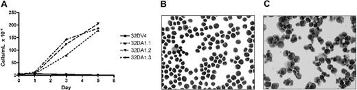 Figure 5. 32DA1 cells survive without IL-3. Control 32DV4 cells, as well as 32DA1.1, 32DA1.2, and 32DA1.3 cells were washed extensively in cytokine-free medium and plated in cytokine-free medium. The number of living cells in each culture was quantified daily by counting cells that were able to exclude Trypan blue (A). After 8 days in culture with (B) or without (C) IL-3, cytospin preparations were evaluated. Photomicrographs of the 32DA1.3 line are shown.