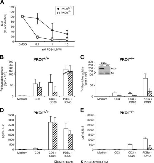 Figure 4. T-cell activation in PDE4 LMWI–treated wild-type and PKCθ–/– T cells. (A) Titration curve of the PDE4 LMWI with normalized percent of CD3/CD28-induced IL-2 production of CD3+ wild-type and PKCθ-deficient T cells (DMSO control was set as 100% in each genotype). (B-C) Proliferative response and (D-E) IL-2 production of purified mature CD3+ T cells in the presence or absence of PDE4 LMWI inhibitor as specified. Cells were left unstimulated or were stimulated with anti-CD3 (precoated at a concentration of 10 μg mL–1) plus soluble anti-CD28 (1 μg mL–1) or PDBu/ionomycin, as indicated, and analysis was done by using standard procedures. Results shown are the mean ± SD of at least 3 independent experiments. (C, inset) Western blot of CD3+ T-cell lysates immunostained for the endogenous PKCθ isotype and fyn, as indicated. Note the complete breakdown of IL-2 production in the PKCθ–/– T cells when stimulated with anti-CD3 plus anti-CD28. The suboptimal low concentration of 0.4 nM PDE4 LMWI reduces neither the proliferation nor the IL-2 production in the wild-type significantly, but does so in the PKCθ–/– T cells (P = .008 in the proliferation assay; P = .002 in the IL-2 assay; t test).
