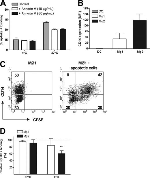 Figure 5. Role of PS and CD14 in the uptake of early apoptotic cells by Mø1s and Mø2s. (A) CFSE-labeled early apoptotic cells were preincubated with 10 μg/mL or 50 μg/mL unlabeled annexin V or medium as control at 4°C for 20 minutes, before the coincubation with Mø2s. The percentage of uptake and/or binding was calculated as described in Figure 2. Data shown are representative of 3 independent experiments performed in duplicate. (B) CD14 expression on DCs, Mø1s, and Mø2s generated in parallel from the same donor. Bars show the mean fluorescence intensity (MFI). Data shown are the mean ± SD from 4 independent experiments. (C) After coincubation of apoptotic cells with Mø1s, cells were stained with a APC-conjugated anti-CD14 mAb, instead of anti-CD11b. CD14 expression was divided equally into 2 populations: CD14high and CD14low. Dot-plots of the FACS showed the distinct uptake of apoptotic cells by CD14high and CD14low cells. (D) Mø1s and Mø2s were preincubated with or without a blocking anti-CD14 antibody (mAb 61D3) at 4°C for 20 minutes, before the coincubation with early apoptotic cells for 2 hours. Relative uptake/binding was calculated as 100% × (% in the presence of anti-CD14)/(% in the absence of anti-CD14). Data are shown as mean ± SD from 4 (Mø1s) to 6 (Mø2s) independent experiments performed in duplicate. Similar results were obtained when etoposide-induced apoptotic cells were applied. **P < .001, 1 sample t test. Separate unrelated donors are used for each independent experiment. Dashed line indicates 100% of relative uptake.