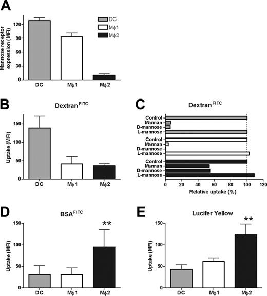 Figure 6. Lectin-mediated endocytosis and macropinocytosis by DCs, Mø1s, and Mø2s. (A) Mannose receptor (MR)/CD206 expression on DCs, Mø1s, and Mø2s. Bars show the mean fluorescence intensity (MFI). Data shown are the mean (± SD) from 2 to 3 independent experiments. (B) The uptake of DextranFITC (100 μg/mL) by DCs, Mø1s, and Mø2s was measured at 1 hour. Data shown are the mean ± SD from 3 independent experiments. (C) The uptake of DextranFITC was measured by different phagocytes preincubated with 100 μg/mL mannan, or 50 mM d-mannose or l-mannose. The uptake by untreated phagocytes (control) is considered as 100%, and data show the relative uptake against the control. Data represent 3 independent experiments. (D) The uptake of BSAFITC (0.2 μg/mL) by DCs, Mø1s, and Mø2s at 1 hour. Data shown are the mean ± SD from 5 independent experiments. Dashed line indicates 100% of relative uptake. (E) The uptake of lucifer yellow (LY) (100 μg/mL) by DCs, Mø1s, and Mø2s at 1 hour. Data shown are the mean ± SD from 3 independent experiments (**P < .001, ANOVA).