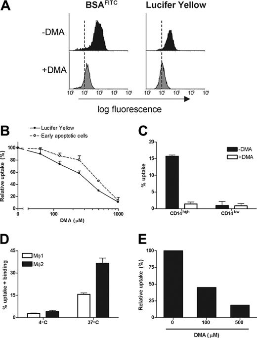 Figure 7. Uptake of early apoptotic cells and apoptotic blebs by Mø2s is prevented by an inhibitor of macropinocytosis. Mø2s were preincubated with or without DMA at 37°C for 20 minutes before the coculture with BSAFITC (0.2 μg/mL), LY (100 μg/mL), or early apoptotic cells. (A) Data show the uptake of BSAFITC and LY at 1 hour by Mø2s in the presence (gray histograms) or absence (black histograms) of 500 μM DMA. The dashed lines represent the background mean fluorescence of Mø2s. (B) Data show the dose-dependent effect of DMA on uptake (37-4°C) of apoptotic cells and LY by Mø2s and represent the relative uptake of DMA-treated Mø2s against the controls (untreated cells). Data are shown as mean ± SD of duplicate cultures and represent 4 independent experiments. (C) Mø1s were treated with or without 500 μM DMA at 37°C for 20 minutes before the co-incubation with early apoptotic cells for 30 minutes. Data show the quantification of uptake (37-4°C) by CD14high and CD14low cells. Data (mean ± SD) represent 3 independent experiments. (D) Apoptotic blebs were isolated from CFSE-labeled Jurkat cells and were used for the phagocytosis assay with Mø1s and Mø2s. Data (mean ± SD) represent 4 independent experiments. (E) Mø2s were pretreated with or without DMA (up to 500 μM). Relative uptake is shown. Similar results were obtained from 2 independent experiments. Separate unrelated donors are used for each independent experiment.
