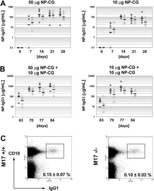 Figure 4. T-cell–dependent immune response of M17–/– mice and generation of memory B cells. (A) Primary immunization with 50 μg (left panel) or 10 μg (right panel) NP-CG in alum. Each circle represents one mouse. Bars indicate the geometric means. Closed circle indicates M17+/+ mice; open circle, M17–/– mice. (B) Secondary immunization with 10 μg NP-CG without alum of mice previously immunized with 50 μg (left panel) or 10 μg (right panel) NP-CG. (C) Amount of splenic IgG1+ memory B cells 9 weeks after the secondary immunization. Numbers are in percent plus standard deviation of total B cells (n = 5). The differences were not statistically significant.