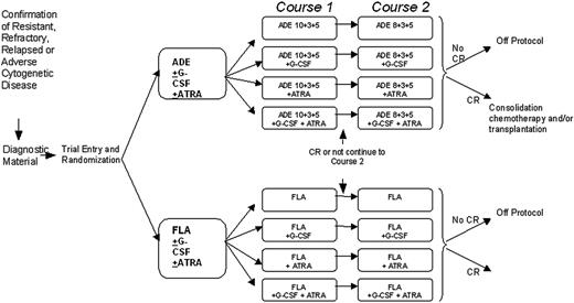 Figure 1. Trial schema and treatment schedules. ADE 10 + 3 + 5 treatment was cytarabine 100 mg/m2 every 12 hours by intravenous push on days 1 to 10 inclusive (20 doses); daunorubicin 50 mg/m2 daily by slow intravenous push on days 1, 3, and 5 (3 doses); etoposide 100 mg/m2 daily by 1-hour intravenous infusion on days 1 to 5 inclusive (5 doses). ADE 8 + 3 + 5 treatment was cytarabine 100 mg/m2 every 12 hours by intravenous push on days 1 to 8 inclusive (16 doses); daunorubicin 50 mg/m2 daily by slow intravenous push on days 1, 3, and 5 (3 doses); etoposide 100 mg/m2 daily by 1-hour intravenous infusion on days 1 to 5 inclusive (5 doses). FLA treatment was fludarabine 30 mg/m2 daily by 30-minute intravenous infusion on days 1 to 5 inclusive (5 doses); cytarabine 2 g/m2 daily by intravenous infusion over 4 hours on days 1 to 5 inclusive (5 doses, total 10 g/m2). For patients aged 60 years or older the cytarabine infusion was reduced to 1 g/m2 daily (total 5 g/m2). G-CSF treatment was 0.5 MU (5 μg)/kg per day subcutaneously or intravenously, starting on the first day of each course of induction chemotherapy (courses 1 and 2). G-CSF should be administered daily until the neutrophil count is greater than 0.5 × 109/L for 2 consecutive days, up to a maximum of 28 days. ATRA treatment was 45 mg/m2 per day orally, starting on the first day of chemotherapy course 1 and continuing daily during and after courses 1 and 2, to a maximum of 90 days (or until the patient comes off protocol if this occurs before 90 days).