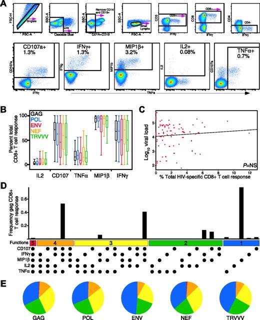 Figure 1. Detection of 5 concurrent T-cell functions and characterization of HIV-specific CD8+ T-cell functionality in HIV-infected progressors. (A) Gating scheme for identification of multifunctional CD8+ T-cell responses. Shown are representative data of the HIV Gag-specific response from subject A26, an HIV-infected progressor, after a 6-hour in vitro stimulation. See “Patients, materials, and methods” for a detailed explanation of the procedure. (B) MIP-1β is the dominant HIV-specific CD8+ T-cell response (P < .001 for all stimulation conditions). Box plots represent the 10th, 25th, 50th, 75th, and 90th percentiles of the contribution of the indicated functional response (x-axis) toward the total CD8+ T-cell response against the indicated HIV peptide mix (color coded as shown) within the 79 progressors. The responses from each subject were standardized to allow comparison of the proportions of the total response expressing each function irrespective of the others. (C) Total CD8+ T-cell response frequency does not correlate with viral load. The red dots represent the total response summed across all functional combinations for each antigen for each progressor (n = 79). The x-axis denotes CD8+ T-cell frequency, and the y-axis denotes log10 viral RNA load. (D) The CD8+ T-cell response to HIV-Gag is composed of multiple functional subpopulations and is largely restricted to cell populations with limited functionality. The black bars represent the total CD8+ T-cell response frequency to Gag in subject A26 expressing the particular combination of functions shown. Each dot denotes CD107a, IFN-γ, MIP-1β, IL-2, and/or TNF-α positivity. The panel also contains horizontal bars of different colors showing those combinations of 5, 4, 3, 2, or 1 function for reference. Responses shown are background subtracted using the 28/49d negative control. (E) The functional profile of HIV-specific CD8+ T-cells is limited in HIV-infected progressors. Each pie chart represents the mean response across the 79 subjects to the 5 different HIV-antigen stimulations. For simplicity, responses are grouped by number of functions, matched to the colored bars in panel D. As shown, more than 75% of the average response to each antigen expresses fewer than 4 functions.