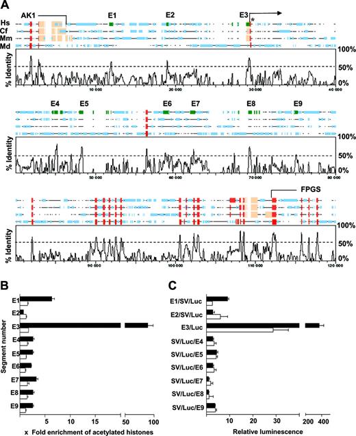 Figure 1. Survey of conserved noncoding sequences as potential regulatory regions of human endoglin. (A) Comparative sequence analysis reveals multiple conserved noncoding segments (E1-E9) both upstream and downstream of exon1 (asterisk) of endoglin. A SynPlot graphical representation of mammalian endoglin loci aligned using the multi-Lagan alignment program with sequences from Hs (Homo sapiens), Cf (Canis familiaris), Mm (Mus musculus), and Md (Monodelphis domestica). Segments within noncoding regions (green rectangles numbered E1-E9) with more than 50% sequence identity were selected for further study. The coding exons are represented as red rectangles along the sequence line and the untranslated regions and repetitive elements are marked with beige and blue rectangles, respectively. The base-pair numbering along the horizontal axis includes gaps introduced by the alignment program. The endoglin locus is flanked by AK1 (adenylate kinase 1) and FPGS (folylpolyglutamate synthetase) genes that are partially represented in the diagram. (B) Histone acetylation status determined by a chromatin immunoprecipitation assay comparing the endoglin expressing endothelial cell line, MS1 (▪), with nonexpressing fibroblasts, NIH3T3 (□). Histone acetylation status was used as a surrogate marker of chromatin accessibility and the results for each segment are expressed relative to acetylated histones around the promoter of a nonexpressed gene (alpha-fetoprotein). Segment E3 corresponds to the promoter region of endoglin and had the highest level of acetylation in MS1 cells. The enrichment of acetylated histones around segment E1 was second highest and more than 2-fold higher than any of the other segments. There was no significant enrichment in any segment in NIH3T3 cells. (C) Stable transfection assays in MS1 (▪) and NIH3T3 (□) cells to assess enhancer activity of the selected segments. E3, a 484-bp fragment that corresponds to the endoglin promoter, enhances luciferase activity over the promoterless vector, pGL2basic, by approximately 400-fold in MS1 cells and is significantly more active in MS1 cells than in NIH3T3 cells. E1, a 329-bp fragment, approximately 8-kb 5′ of exon 1, was the most active of the other segments with approximately 8-fold enhancement of luciferase activity over the pGL2 (SV) promoter vector in MS1 cells. Error bars indicate standard deviation