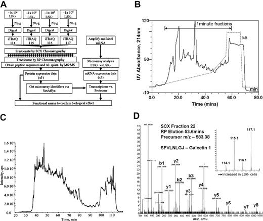 Figure 1. Overall experimental design. (A) Flow diagram showing the steps involved in determining relative quantities of proteins between LSK+ cells and LSK– cells and the comparison of these data to transcriptome data obtained on the same samples. (B) UV absorbance spectrum (214 nm) showing fractionation of iTRAQ-labeled peptides by strong cation exchange chromatography. The trace shows the elution profile of the cell lysates. The gradient is illustrated by the dotted line, and the range during which 1-minute fractions were collected is marked with an arrow. (C) Separation of a single SCX fraction (fraction 22) on a reverse phase gradient on-line to a mass spectrometer. The trace shows the total ion chromatograph (TIC) indicated as intensity on the y-axis, showing the elution profile of peptides from the reverse phase high-performance liquid chromatography (HPLC) column into the mass spectrometer. (D) Tandem mass spectrum showing the sequence of a peptide of mass: charge 583.37 eluting from the reverse phase column at 53.6 minutes. The labeled y-ion series allows calculation of the peptide sequence (SFVLNLGJ, where J denotes a lysine with an iTRAQ-labeled side-chain); the iTRAQ reporter ions (inset) give relative quantification data for this peptide.