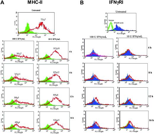 Figure 2. Effects of IFNγ concentrations on the expressions of MHC-II and IFNγRI on MSCs. Cells were stimulated with 10 U/mL or 100 U/mL IFNγ. After 4, 8, 12, and 16 hours, MSCs were studied for (A) MHC-II and (B) IFNγRI expression by flow cytometry. The results represent 4 experiments, each performed with MSCs from a different donor. The MFIs ± SD (n = 4) are shown for MHC-II in the panels. Solid histograms indicate isotype; open histograms, specific antibodies.