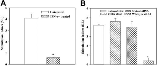 Figure 4. IFNγ regulates the allostimulator activity of MSC. MLR with MSC stimulators, pretreated with IFNγ (A), or knockdown for IFNγ (B). (A) MSCs from 7 different donors were incubated with 100 U/mL IFNγ for 8 hours and then used as stimulators in MLR. MSCs from each donor were studied with PBMCs from 2 different donors. (B) MSCs from 5 different donors were stably knocked down for IFNγ using wild-type or mutant siRNA, then used as stimulators in MLR. Control MLR comprised untransfected MSCs or those stably transfected with vector alone (pPMSKH1). *P < .05 versus untreated MSCs. **P < .05 versus other experimental groups. Results are expressed as mean SI ± SE.