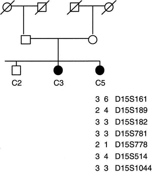 Figure 1. Haplotype analysis using microsatellite markers in consanguineous family C with familial CDA1. A total of 19 markers spanning the 8-Mb region of the CDAN1 locus were used for linkage analysis; only informative markers are shown. The index patient C5 lacks homozygosity over this region.