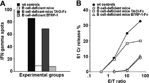 Figure 2. TACI-Fc treatment restores CTL expansion in B-cell–deficient mice. B-cell–deficient mice (2 per group) were pretreated with either TACI-Fc or B7RP-1–Fc fusion proteins (1 μg/mouse, intraperitoneally, 24 hours before and 48 hours after peptide priming) then immunized with the VSV NP 52-59 peptide in IFA. Untreated wild-type C57/BL6 mice were also immunized as a control. Mice were killed 7 days after immunization, their spleens were harvested and homogenized into a single-cell suspension, then analyzed ex vivo for peptide-specific IFNγ-producing cells by the ELISPOT assay (A) and for cytolytic activity following additional in vitro stimulation of primed splenocytes with peptide (B). An average of 2 experiments is shown with SD ranging from ≤ 3 (A) and ≤ 4 (B) at all E/T ratios tested.