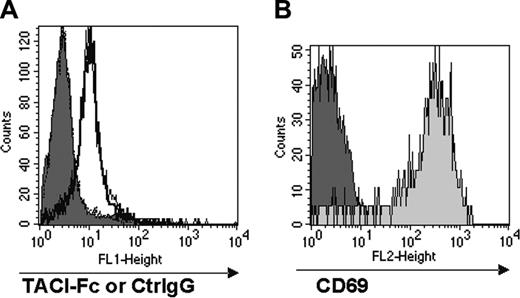 Figure 3. CD8+ T cells do not express a coreceptor for TACI. Total splenocytes from OT-1 mice were stimulated with the SIINFEKL peptide (0.1μg/mL) for 24 hours, and stained for FACS analysis with TACI-Fc followed by FITC-conjugated goat anti–human IgG. Human IgG (Ctrl IgG) was used as a control for nonspecific binding in the FACS analysis. Panel A shows the staining with TACI-Fc of unstimulated and peptide-stimulated CD8+ T cells; panel B shows CD69 expression in unstimulated and peptide-stimulated CD8+ T cells. Substantial binding of TACI-Fc to either unstimulated (A, filled histogram) or peptide-stimulated (A, empty histogram) CD8+ T cells was not detectable. The staining with TACI-Fc is in fact highly comparable with the Ctrl IgG control in both cell preparations. T-cell activation has been proven by the selective CD69 expression in the peptide-stimulated T cells (B, light gray histogram).
