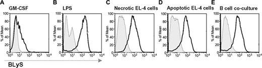 Figure 4. BLyS up-regulation correlates with CD86 expression in maturing DCs exposed to a variety of antigenic stimuli or in B-cell cocultures. FACS-sorted splenic CD11c+ cells were cultured under different conditions to define a correlation between BLyS up-regulation and CD86 expression after exposure to a variety of antigenic stimuli or B-DC cocultures. Open bold histograms show the expression of BLyS in CD86+ gated cells compared with isotype controls (solid histograms). The culture conditions tested were: (A) GM-CSF alone; (B) 2.5 μg/mL LPS; (C) 5 × 106 necrotic EL-4 cells; (D) 5 × 106 apoptotic EL-4 cells; and (E) 5 × 106 splenic B cells.