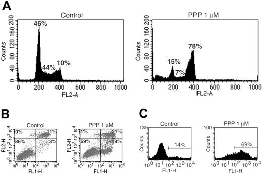 Figure 2. The effects of PPP on cell-cycle phase distribution and apoptosis. (A) MM cell lines were treated with PPP for 24 hours followed by analysis of cell-cycle phase distribution,44 whereby one representative experiment using the LP-1 cell line is demonstrated. (B) In a parallel experiment apoptosis was analyzed using AV/PI staining. MM cells were categorized as living cells (AV-negative/PI-negative), apoptotic cells (AV-positive/PI-negative), apoptotic/necrotic cells (AV-positive/PI-positive), and necrotic cells (AV-negative/PI-positive), whereby the relative cell numbers are presented as percentage of 10 000 cells. (C) Apoptosis was also quantified in the Karpas 707 cell line at 48 hours of PPP treatment by using TUNEL, whereby data are presented as percentage of 10 000 cells.