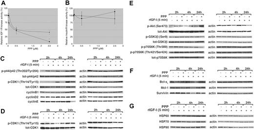 Figure 3. The effects of PPP on IGF-1R RTK autophosphorylation and downstream signaling proteins. (A) IGF-1R was extracted from total cell lysates of the RPMI 8226 and the Karpas 707 cell lines and incubated with PPP at indicated concentrations before the kinase reaction was initiated by the addition of ATP. The autophosphorylation of the IGF-1 RTK was quantified spectrophotometrically. ♦ indicates RPMI 8226; ▪, Karpas 707. (B) Insulin R was extracted from total cell lysates of the RPMI 8226 and Karpas 707 cell lines and incubated with PPP at indicated concentrations before kinase reaction was initiated by the addition of ATP. The autophosphorylation of the insulin R was quantified spectrophotometrically. ♦ indicates RPMI 8226; ▪, Karpas 707. (C) Expression of p-Erk1/2, tot-Erk1/2, and the cell-cycle–associated p-CDK1, tot-CDK1, cyclin B1, cyclin D2, and cyclin E was analyzed by Western blotting of serum-starved RPMI 8226 cells incubated for 2, 4, and 24 hours with or without 1 μM PPP. (D) Similarly, expression of p-CDK1 and tot-CDK1 was analyzed in the mouse MM cell line 5T33MMvt lacking the IGF-1R. (E) Expression of p-Akt, tot-Akt, and the downstream signaling proteins GSK-3β p70S6K and their corresponding phosphorylated forms were analyzed according to the same procedure. Protein expression of (F) bcl-xL, mcl-1, survivin, and (G) hsp60, hsp70, and hsp90 was analyzed by Western blotting of serum-starved RPMI 8226 cells incubated for 2, 4, and 24 hours with or without 1 μM PPP. In all experiments the cells were stimulated with 6.7 nM IGF-1 for 5 minutes at each time point.