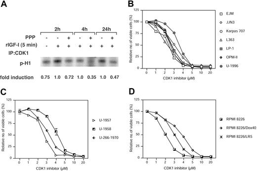 Figure 4. The effect of PPP on CDK1 activity and the effect of CDK1 inhibition on growth. (A) Serum-starved RPMI 8226 cells were treated with PPP at 1 μM. At indicated time points the cells were treated for 5 minutes with 6.7 nM IGF-1. Cell lysates were subjected to CDK1 immunoprecipitation and subsequent in vitro kinase assay using Histone H1 as a substrate. The amount of labeled H1 was quantified and expressed as fold reduction as compared with relevant IGF-1–treated time controls. Each of the 13 MM cell lines used previously were treated with CGP74512A at indicated concentrations for 48 hours followed by analysis using the resazurin assay. As in Figure 1 the cell lines were divided into 3 categories: (B) IL-6–independent, (C) IL-6–dependent, and (D) the RPMI 8226 cell line and its subclones. Four experiments were performed in triplicate, and 1 representative is shown whereby data are expressed as mean percentage of control ± SD. Error bars not visible are included within the symbols.