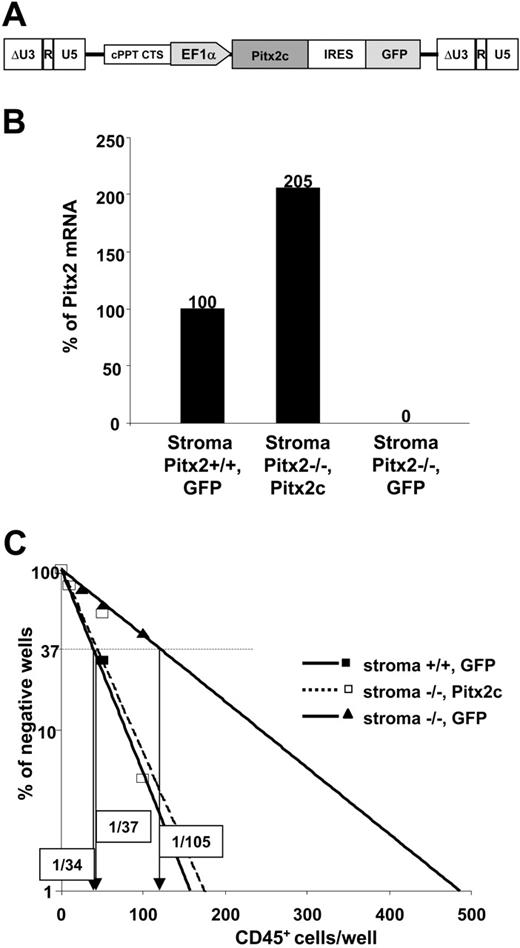 Figure 5. Comparative study of the hematopoietic supportive ability of primary fetal liver stromal cells expressing or not Pitx2 mRNAs. (A) Schematic representation of the functional elements of the TRIPΔU3-EF1α-Pitx2c-IRES-GFP vector. (B) Quantitative RT-PCR was performed on (Pitx2–/–, Pitx2c), (Pitx2–/–, GFP), and control (Pitx2+/+, GFP) stromal cells. Histograms show the results expressed as the percentage of Pitx2 mRNA expression obtained in the control stromal cells. The Hprt housekeeping gene was used as internal standard to normalize the results for cDNA input. All samples were run in duplicate and gave identical results. (C) Results of 1 of 2 representative quantitative CAFC assays performed by coculture of Pitx2+/+ CD45+ fetal liver hematopoietic cells using the different stromal cells described in panel A: Pitx2–/–, GFP (solid lines, ▴); Pitx2–/–, Pitx2c (broken lines, □); and Pitx2+/+, GFP (solid lines, ▪). The frequency of wells negative for the presence of CAFCs is plotted against the number of CD45+ cells seeded. The CAFC frequency, indicated in boxes for each condition, is defined as the inverse of the number of seeded cells that corresponds to 37% negative wells (Poisson statistics27).