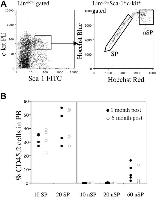 Figure 1. Only SP cells within the KSL population contain LT-HSCs. (A) Whole bone marrow was stained with antibodies against c-Kit, Sca-1, and lineages. The KSL population represented approximately 0.1% of nucleated cells. Right panel shows Hoechst profile of KSL-gated cells. Approximately 25% to 35% of cells fell into the SP gate. Regions marked as SP and non-SP (nSP) were sorted and then re-sorted for transplantation experiments. (B) Reconstitution profiles of mice that received transplants of limited cell numbers of KSL-SP or KSL non-SP cells along with a radioprotective dose of 1 × 105 host-type whole bone marrow cells. Peripheral blood chimerism is shown at 1 month (•), or 6 months (○) after transplantation.