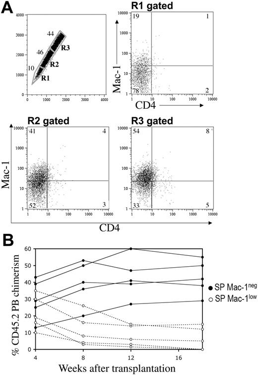 Figure 2. Dye efflux directly correlates with self-renewal. SP cells from Sca-1–enriched bone marrow (A) were stained with anti–Mac-1PE and anti-CD4APC antibodies. When the SP is subdivided into the geometrically similar regions R1 to R3, the percentage of cells in R1 is lowest, as indicated. Mac-1 and CD4 expression on the gated subpopulations is shown. (B) All CD45.2 Sca-1+ SP cells, independent of their R gate status, were sorted on the basis of Mac-1 expression and transplanted into CD45.1 lethally irradiated recipients along with 1 × 105 CD45.1 WBM cells. A representative analysis of 2 different experiments is shown from animals transplanted with 20 Mac-1– (•) or 20 Mac-1low (○) SP cells. Engraftment values from the 2 different populations are statistically different (P < .005), except for the 4-week time point (P < .3, t test).