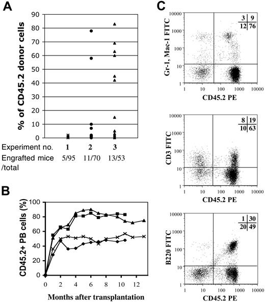 Figure 4. Long-term multilineage reconstitution by a single SP. Single SPlow cells as shown in Figure 3, also selected for Sca-1 expression, were sorted into wells of a 96-well plate and transplanted into lethally irradiated recipients. (A) Carrier cells for the different transplantation experiments were as follows: (1) 2 × 105 WBM; (2) 1-3 × 105 Sca-1+ c-Kit+ depleted; and (3) 600 or 1000 Lin–Sca-1+ c-Kit+ CD34+. Donor chimerism was determined as the percentage of CD45.2+ cells of the total number of CD45+ peripheral blood cells. Dots represent engrafted mice at 6 months after single-cell transfer. (B) Representative long-term follow up of 4 single HSC transplant recipients. Chimerism in peripheral blood was assessed by CD45.2 staining. Each line represents an individual mouse. (C) Lineage analysis in 1 representative chimera with 85% PB contribution 4 months after one HSC transplantation demonstrates contribution to the myeloid (top), T-cell (middle), and B-cell (bottom) lineages. Numbers represent the percentage of cells in each quadrant.