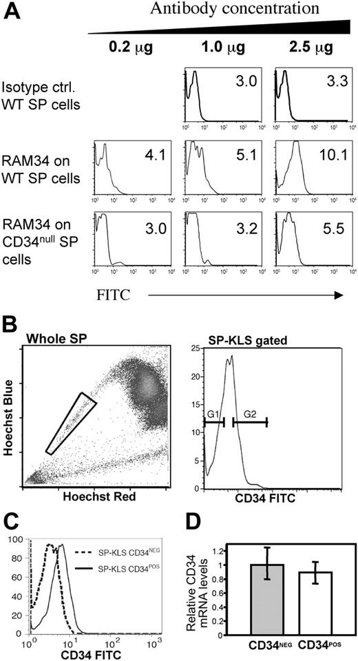 Figure 5. SP cells are homogeneous for CD34 expression. (A) Nonspecific staining at high concentrations of RAM34 antibody. Wild-type (WT) and CD34-null BM cells were stained with Hoechst and subsequently stained with standard concentrations (0.2 μg) of anti-lineage, Sca-1, c-kit, and the indicated concentrations of RAM34-FITC. Histograms shown are gated on KLS-SP cells. Numbers within each panel represent the mean fluorescent intensity (MFI) for the FITC channel. (B) No difference in CD34 mRNA expression within SP cells. Whole bone marrow from wild-type mice (top left) was stained with Hoechst and antibodies against c-kit, Sca-1 lineage markers, and RAM34-FITC at 2.5μg/106 cells. SP cells (gated as in left panel) that were lineage–, c-kit+, and Sca-1+ were displayed for CD34 and sorted with the gates shown (top right). (C) Representative reanalysis of sorted CD34– and CD34+ cells. (D) CD34 mRNA levels of sorted populations were analyzed by real-time PCR. Error bars represent SD. P < .5 (t test).