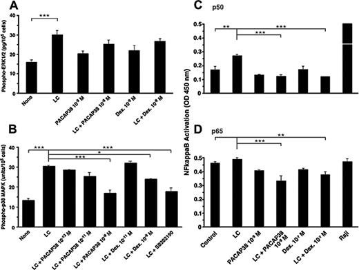 Figure 3. Effect of PACAP38 and dexamethasone on LC-stimulated activation of MAPKs and NFκB. (A) The phosphorylation of ERK1/2 MAPK in the human renal proximal tubule cells cultured for 3 days with light chain (50 μM), PACAP38 (1 nM), or dexamethasone (1 nM) alone or light chain plus PACAP38 or dexamethasone. (B) The activation of p38 MAPK in the proximal tubule cells in a similar study. SB202190 (10 μM), a p38 MAPK inhibitor. (C-D) p50 and p65 subunits of activated NFκB, respectively. Raji cell extract, a positive control for NFκB. Each column represents mean of 3 replicates. Vertical bar is SE of mean. ***P < .001, **P < .01, and *P < .05.