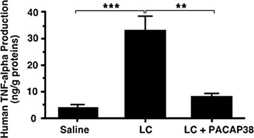 Figure 5. Effect of PACAP38 on light chain–induced human TNFα production in rat kidney. κ-Light chain (50 μM) purified from the urine of a patient with multiple myeloma was administered intravenously into a freely moving rat through the chronically implanted jugular cannula. The control animals received the same amount of saline as that of light chain solution. On completion of administration of the light chain or saline over 72 hours the rat was killed to examine the expression of TNFα in the kidney. The level of TNFα in the kidney increased several times as compared with the control level after the treatment. When PACAP38 was intravenously administered with the light chains, the stimulation of TNFα production in the kidney was significantly suppressed. Each value represents the mean ± SE from 4 kidneys. ***P < .001 and **P < .01.