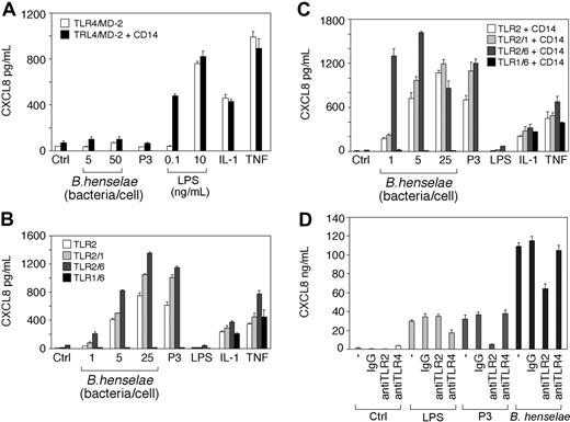 Figure 4. B henselae stimulation is dependent on TLR2 but not TLR4. HEK293 cells were transiently transfected with TLR4/MD-2 or TLR4/MD-2 and CD14 (A); or TLR2, TLR2 and TLR6, TLR2 and TLR1, or TLR6 and TLR1 in the absence (B) or in the presence of CD14 (C). Cells were stimulated with various numbers of B henselae, Pam3CSK4 (P3), LPS, IL-1β, TNFα, or medium alone. Culture supernatants were harvested after 18 hours and CXCL8 levels were determined by ELISA. DCs were pretreated with 10 μg/mL anti-TLR2 or anti-TLR4 antibody before the addition of B henselae or the indicated stimuli (D). CXCL8 release was measured by ELISA. Data shown (mean ± SD of triplicates) are from 1 of 2 independent experiments. Ctrl indicates control.