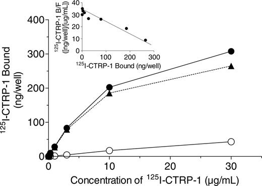 Figure 2. Binding of 125I-CTRP-1 to fibrillar collagen type I. Plates were coated with fibrillar collagen type I and incubated with the indicated concentration of 125I-CTRP-1 in the absence (total binding, •) and presence (nonspecific binding, ○) of 250 μg/mL unlabeled CTRP-1. Specific binding (▴) was calculated as the difference between the total and nonspecific values. Each point represents the mean of duplicate wells and is representative of 4 separate experiments. Inset shows the Scatchard plot of the specific binding data. B indicates bound 125I-CTRP-1; F, free 125I-CTRP-1.