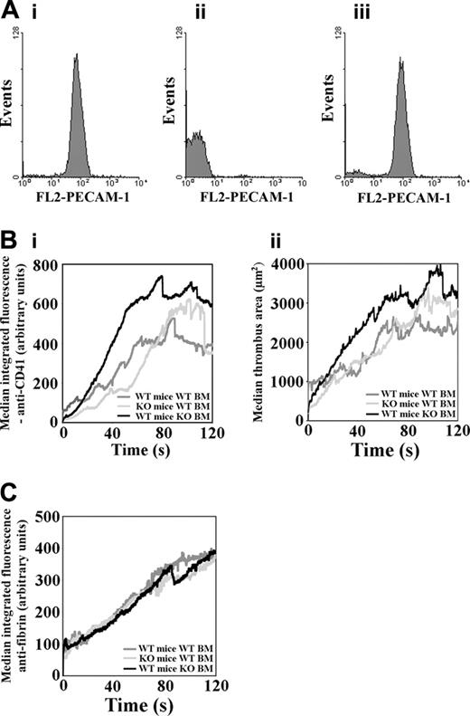 Figure 3. The contributions of platelet and endothelial cell PECAM-1 to the regulation of thrombus formation. (A) Chimeric mice were generated by bone marrow transplantation and, following recovery, successful engraftment was verified by flow cytometric analysis to detect the presence or absence of PECAM-1 on lymphocytes from WT mice that received transplants of WT bone marrow (Ai), WT mice that received transplants of PECAM-1–deficient bone marrow (Aii), and PECAM-1–deficient mice that received transplants of WT bone marrow (Aiii). (B) Median anti-CD41 integrated fluorescence (Bi) and thrombus area (μm2) (Bii) were calculated for thrombi formed in chimeric mice generated by bone marrow transplantation and are plotted against time for a duration of 120 seconds following thrombus initiation (Bi: WT mice with WT BM: n = 30, PECAM-1–deficient mice with WT bone marrow: n = 33, WT mice with PECAM-1–deficient bone marrow: n = 14; ii: WT mice with WT BM: n = 26, PECAM-1–deficient mice with WT bone marrow: n = 33, WT mice with PECAM-1–deficient bone marrow: n = 14). KO indicates knock-out. (C) Fibrin deposition in thrombi was measured simultaneously with platelet accumulation for each type of mouse chimera that received transplants and is plotted against time for the duration of 120 seconds following thrombus initiation (WT mice with WT BM: n = 30; PECAM-1–deficient mice with WT bone marrow: n = 32; WT mice with PECAM-1–deficient bone marrow: n = 14).