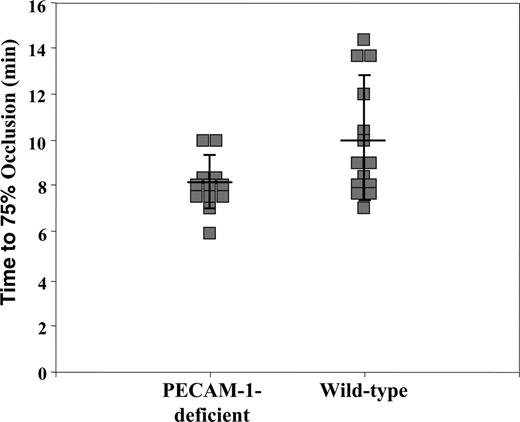 Figure 4. Quantitative analysis of ferric chloride (FeCl3)–induced thrombus formation in the carotid arteries of PECAM-1–deficient and wild-type mice. Filter papers saturated with 10% FeCl3 were applied to exposed carotid arteries for 3 minutes to induce acute injury to the endothelium, after which the vessels were rinsed and saturated with saline solution. Blood flow was monitored with a miniature Ultrasound Doppler flow probe placed under the exposed artery and recorded using a Transonic Model T106 flow meter. The time for blood flow to drop to 25% of baseline values (75% occlusion) was determined. Each data point reflects the time for the left carotid artery to become 75% occluded in PECAM-1–deficient (left) or wild-type (right) animals. The solid line through each data set represents the mean time to 75% occlusion ± standard deviations. The mean time to 75% occlusion (± standard deviation) for PECAM-1–deficient mice was 8.1 ± 1.1 minutes (n = 12), which was significantly shorter (P < .03) than that observed in wild-type mice (10.0 ± 2.7 minutes, n = 14).