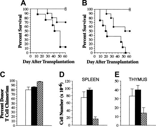 Figure 1. Administration of bortezomib immediately before transplantation protects mice from lethal GVHD. Lethally irradiated (1000 cGy) B6 mice underwent transplantation with TCD B10.BR BM alone or together with B10.BR spleen cells adjusted to yield a dose of either 2 × 106 (A) or 4 × 106 T cells (B). Mice that received transplanted TCD BM only either were left untreated (□, n = 8) or were administered bortezomib (1 mg/kg, day 0) (○, n = 6) immediately before transplantation. Animals that received transplanted TCD BM plus B10.BR T cells also either were left untreated (▪, n = 8) or were administered bortezomib (•, n = 10) on day 0 immediately before TBI. Data are cumulative results from 2 experiments at each T-cell dose. Percentages of donor T-cell chimerism in the spleen (C) and overall spleen (D) and thymic (E) cellularity of mice described in panel A that survived 60 days after transplantation are shown (□, TCD BM; ▪, TCD BM/bortezomib; ▨, TCD BM/spleen cells/bortezomib). Data in bar graphs are presented as the mean ± SEM. Spleen cellularity: TCD versus TCD/bortezomib, P = .53; TCD/bortezomib versus TCD/spleen/bortezomib, P = .002. Thymus cellularity: TCD versus TCD/bortezomib, P = 0.94; TCD/bortezomib versus TCD/spleen/bortezomib, P = .02.