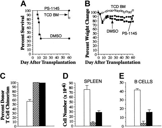 Figure 7. Extended posttransplantation administration of PS-1145 protects animals from lethal GVHD and does not induce fatal gut toxicity. Lethally irradiated (1000 cGy) B6 mice underwent transplantation with TCD B10.BR BM alone (□, n = 6) or together with spleen cells adjusted to yield a dose of 2 × 106 B10.BR T cells. (A) Animals that received transplanted B10.BR T cells were administered DMSO (▪, n = 11) or PS-1145 (•, n = 11) (50 mg/kg for 10 days beginning the day of transplantation). Survival is shown in panel A, and weight loss, in panel B. Overall cellularity (C), absolute number of B cells (D), and donor T-cell chimerism (E) in the spleens of mice that survived 60 days after transplantation are shown (□, TCD BM; ▨, DMSO; ▪, PS-1145). Data in bar graphs are presented as the mean ± SEM. Spleen cellularity: DMSO versus PS-1145, P = .006; TCD versus PS-1145, P < .001. Total splenic B cells: DMSO versus PS-1145, P = .04; TCD versus PS-1145, P < .001. Percentage donor T cells: DMSO versus PS-1145, P = .66; TCD versus PS-1145, P < .001