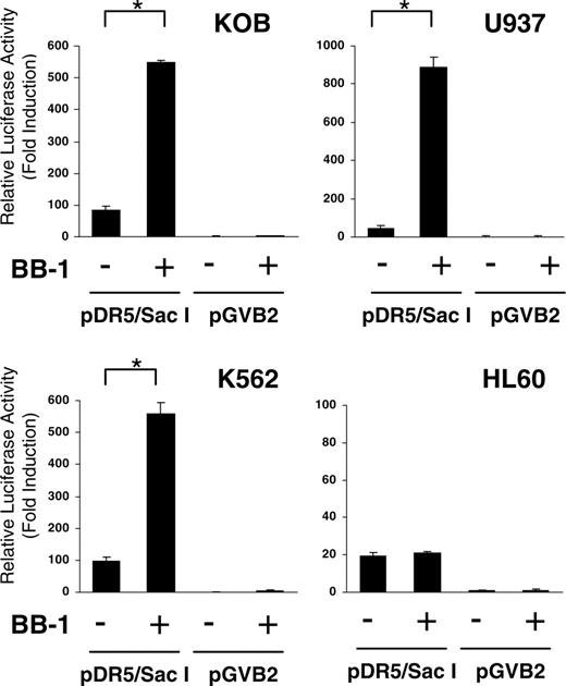 Figure 7. Analysis of TRAIL-R2 promoter activity by luciferase assay. The TRAIL-R2 promoter region plasmid pDR5/SacI and empty vector pGVB2 were transfected into KOB, U937, K562, and HL60 cells. Cells were then incubated with or without 12.5 μg/mL BB-1 for 24 hours. Luciferase activity in 10 μg cell lysate was measured using luciferase assay reagents and a luminometer. Fold activation was obtained by setting the value for the empty vector control as 1.0. Each experiment was carried out in triplicate, and data are the mean ± SD. *P < .01.
