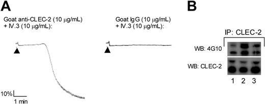 Figure 3. Platelet aggregation and CLEC-2 tyrosine phosphorylation induced by cross-linking of CLEC-2 by anti–CLEC-2 antibody. (A) Human washed platelets (2 × 108/mL) were stimulated by 10 μ g/mL of anti–CLEC-2 antibody or control goat IgG in the presence of F(ab)′2 fragment of anti-FcγRIIA antibody (IV.3) and platelet aggregation was monitored with an aggregometer. (B) Human washed platelets (1 × 109/mL) were lysed with 2 × lysis buffer after stimulation as described. CLEC-2 was immunoprecipitated and sequentially Western blotted with antiphosphotyrosine antibody (4G10) or polyclonal anti–CLEC-2 antibody. The data are representative of 4 experiments. Lane 1: basal; lane 2: goat anti–CLEC-2; lane 3: control goat IgG.
