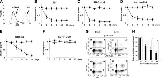 Figure 3. ALK shRNA inhibits the growth of human ALCL cells. (A) Percentages of human (TS, 80%) and murine (CD4-43, 8%) ALK+ cells transduced with pSRG-A5 vector as measured by EGFP expression by FACS analysis. (B-F) Human and murine ALCL ALK-A5+ cells decrease over time. Percentages of EGFP+ cells in pSRG-A5 or pSRG retrovirally transduced human ALCL cells SU-DHL-1, TS, and Karpas 299, human lymphoblastoid cells CCRF-CEM (ALK–), and murine NPM-ALK (CD4-43) cells were determined over time. These findings are representative of at least 3 different experiments. In B-F, ♦ indicates pSRG-A6; ▪, pSRG-A5. (G) Percentages of BrdU/ALK-A5+ ALCL cells decrease over time. ALK-A5–infected TS cells were cultured over time and the percentages of BrdU+ cells within EGFP– and + cells were calculated at different intervals. These findings are representative of at least 3 different experiments. Numbers represent the percentages of positive cells for each quadrant. (H) Percentages of BrdU+ TS cells over time after transduction with pSRG-A5 and pSRG-A6 viruses. TS cells were transduced with retroviral ALK-A5 or ALK-A6 pSRG vectors. BrdU incorporation of EGFP+ and EGFP– cells was established as described in “Materials and methods.” ▪ indicates pSRG-A5; □, pSRG-A6. Percentages of total are indicated. Normalized ratio of BrdU+ cells among EGFP+ or EGFP– cells was calculated over time. (A-F, H) Error bars indicate SD.