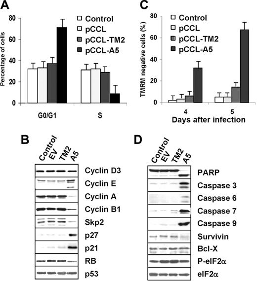 Figure 6. Lentiviral ALK shRNA leads to cell-cycle arrest and apoptosis of ALCL cells. (A-B) Anti–ALK-A5 leads to G1 cell-cycle arrest. TS cells transduced with the indicated constructs were harvested 96 hours after infection and stained with propidium iodide (PI) to determine the corresponding fractions in G0/G1, S, and G2-M phases. Lysates were analyzed by Western blotting with the indicated antibodies. (C) Anti–ALK-A5 leads to cell death. Percentages of TMRM– cells were calculated in TS cells 4 and 5 days after infection. (A, C) Error bars indicate SD. (D) Loss of NPM-ALK leads to caspase activation. TS cells transduced with empty vector, TM2, or ALK were harvested 96 hours after transduction and immunoblotted with the indicated antibodies. These findings are representative of 4 different experiments.